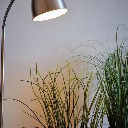 Cosy In Downtown With Free Garage Parking Apartament