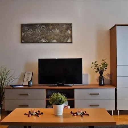 Cosy In Downtown With Free Garage Parking Apartment