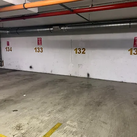 Cosy In Downtown With Free Garage Parking
