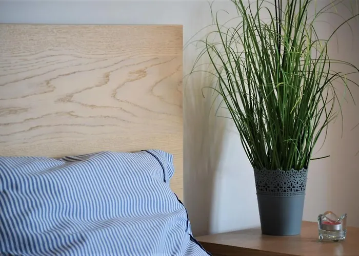 Cosy In Downtown With Free Garage Parking *
