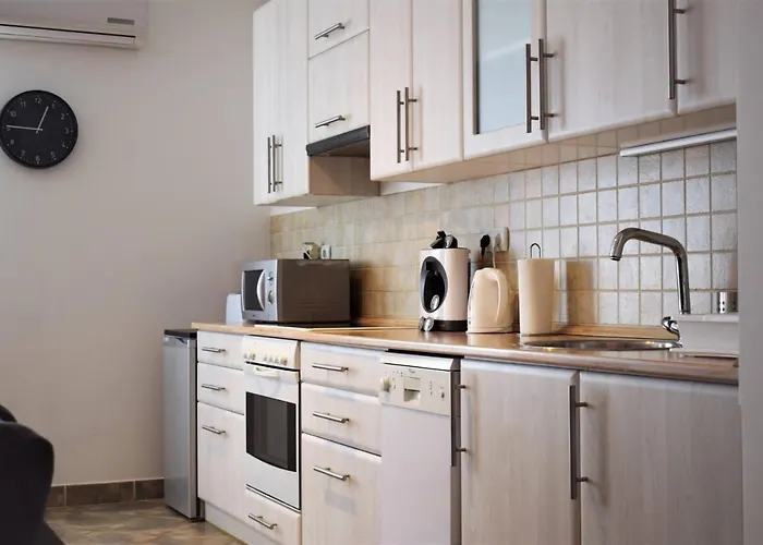 Cosy In Downtown With Free Garage Parking *