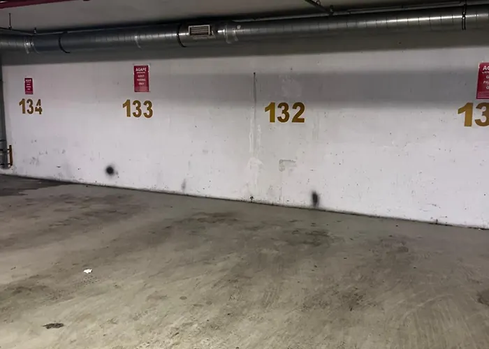 Cosy In Downtown With Free Garage Parking
