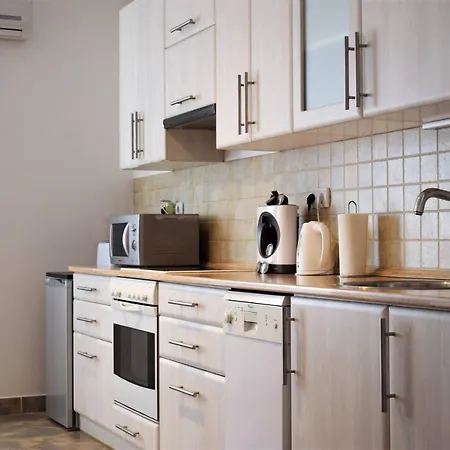 Cosy In Downtown With Free Garage Parking *